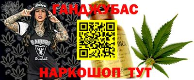 соль ск Сланцы