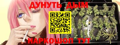 соль ск Сланцы