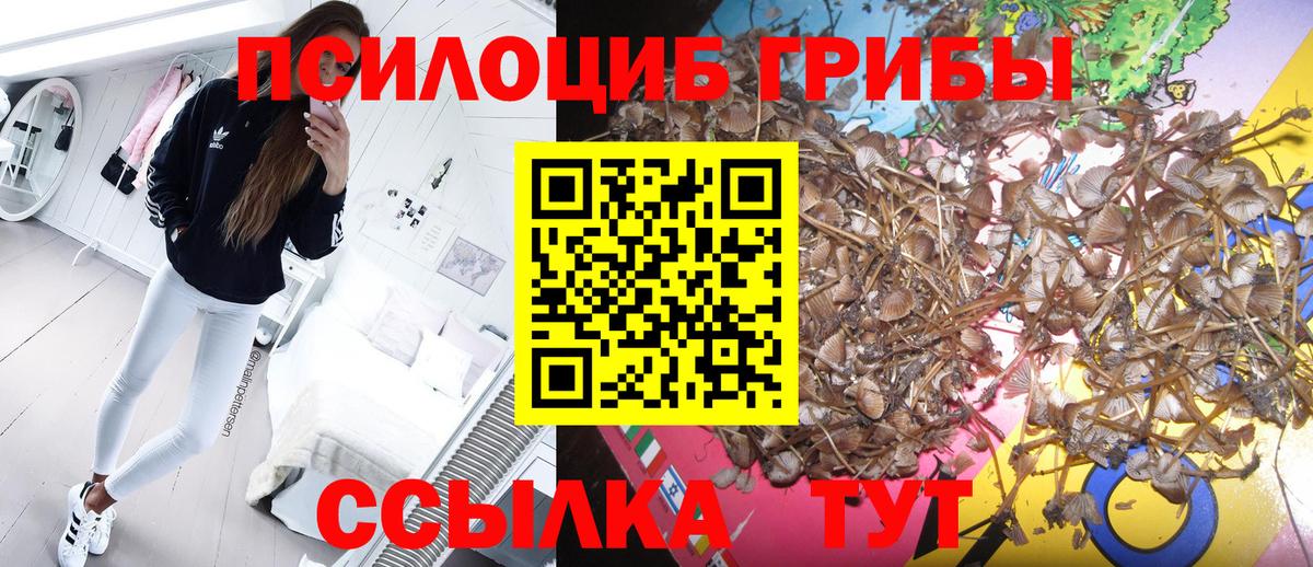 Галлюциногенные грибы Cubensis  Вход с VPN  что такое наркотик  Пенза 